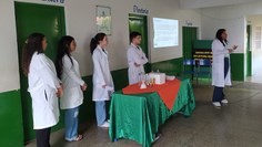 Durante o encontro, foram discutidos aspectos do PIBIC-Jr e do projeto de extensão na área de Química