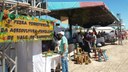 caval_agricultura4.jpg